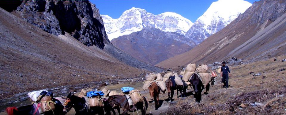 Book Gasa Hot Spring Tour